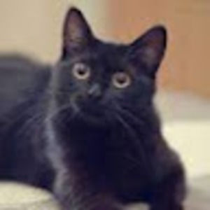 Meet your Posher, Therese